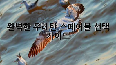 완벽한 우레탄 스페어볼 선택 가이드